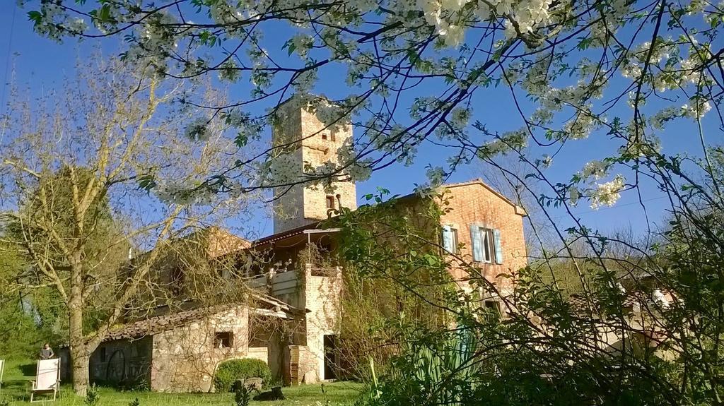 Capannacce Organic And Horse Farm Villa Rapolano Terme Exterior photo